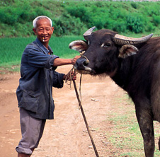 小型飼料顆粒機(jī),農(nóng)民圓夢(mèng)！